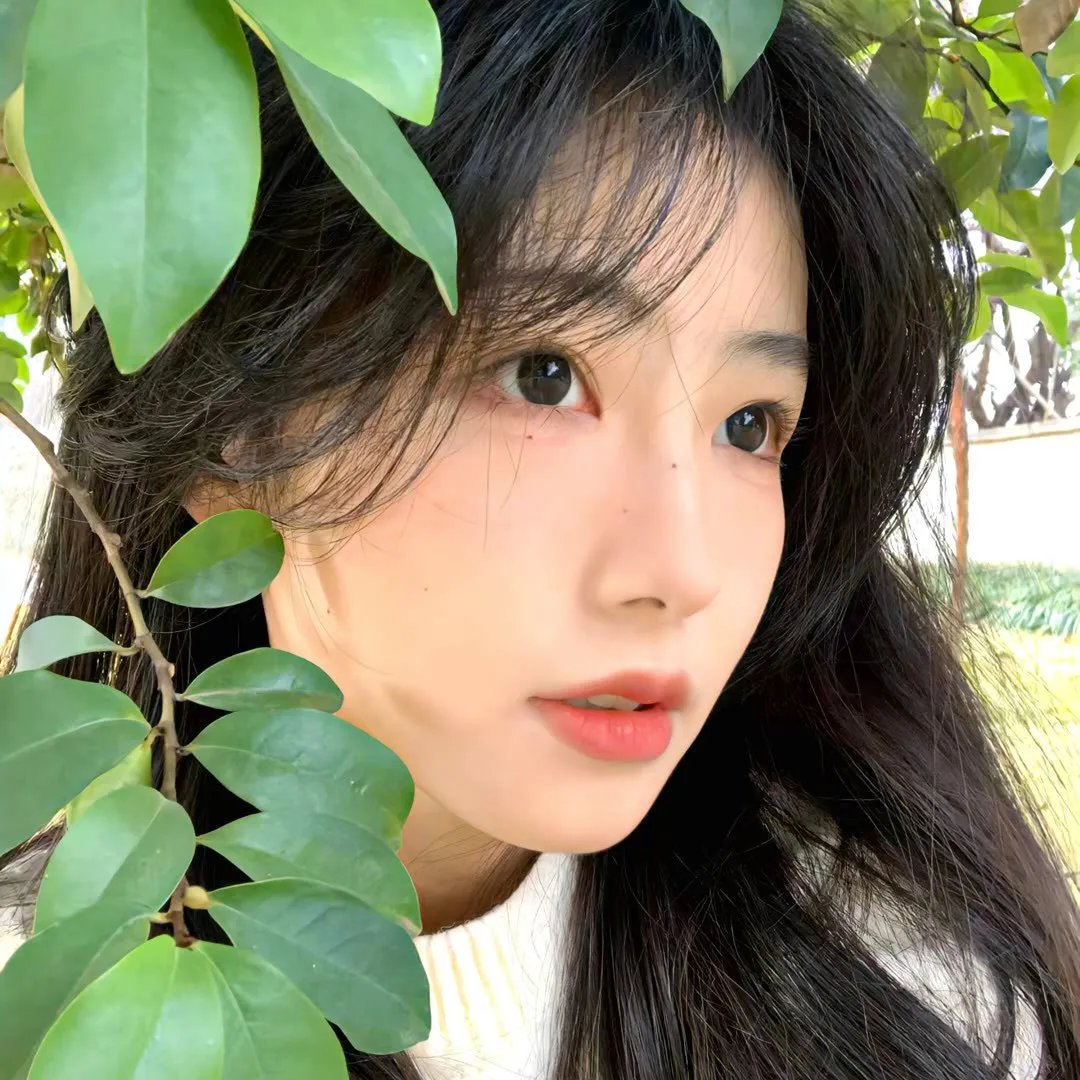 寒武纪